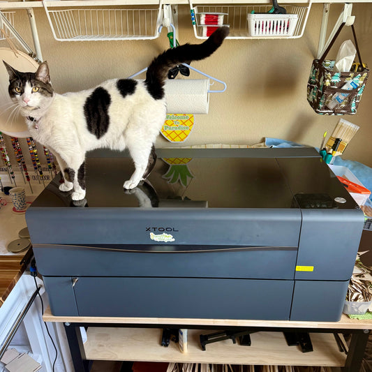 Ellie, my white and black cat standing on my new xTool P2 laser.
