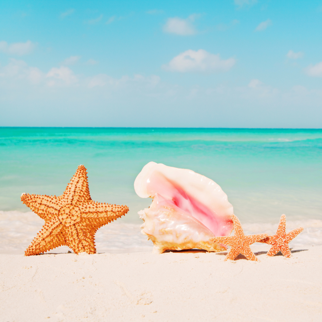 Pineapples and Palm Trees Gift Cards