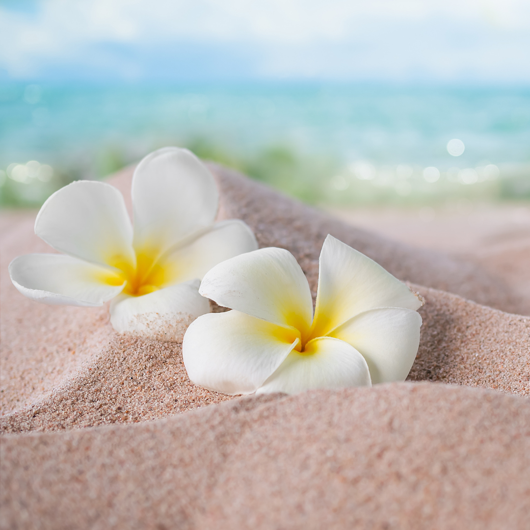 Pineapples and Palm Trees Gift Cards