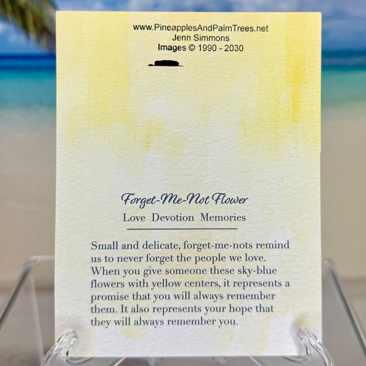 Greeting Card: Your Friendship is Unforgettable - forget-me-nots
