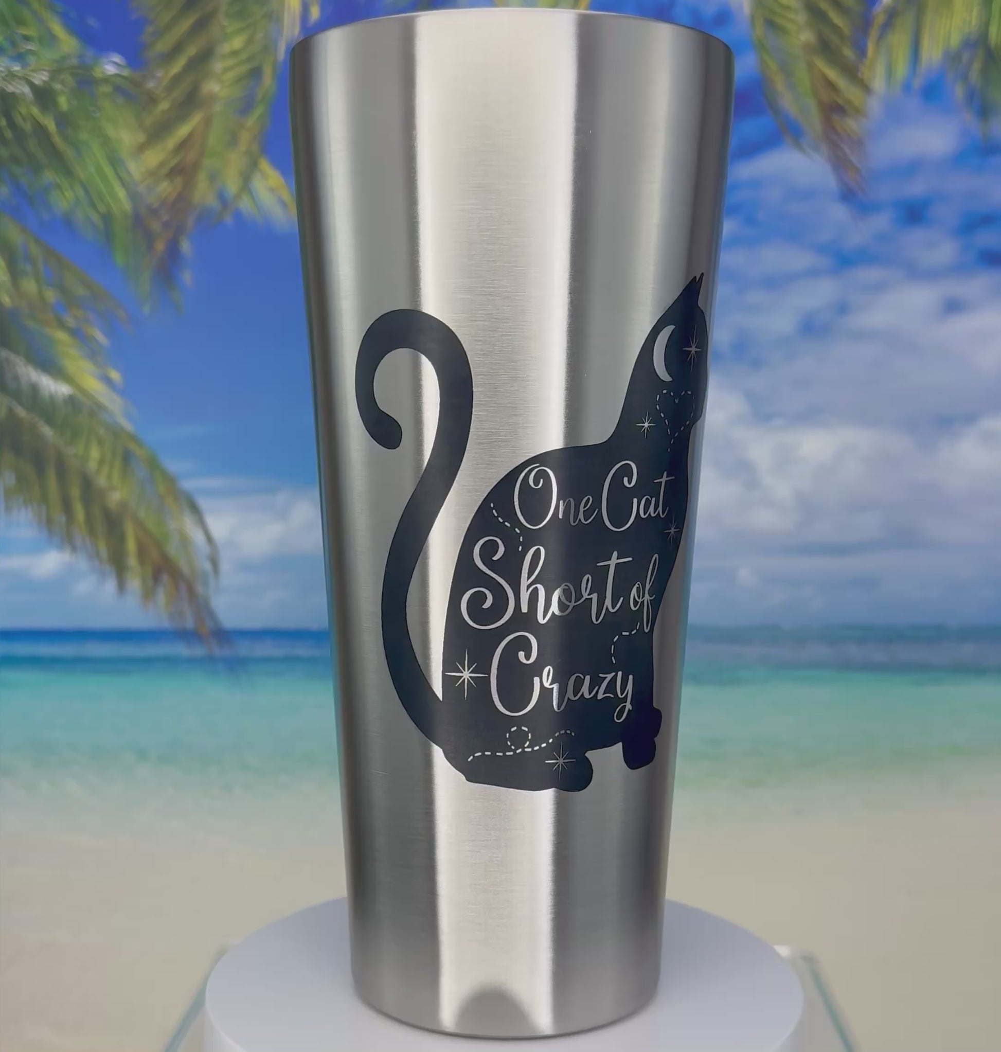 Clip of the ‘One Cat Short of Crazy’ tumbler showing the cat-themed graphic and smooth powder-coated exterior for hot or cold drinks.