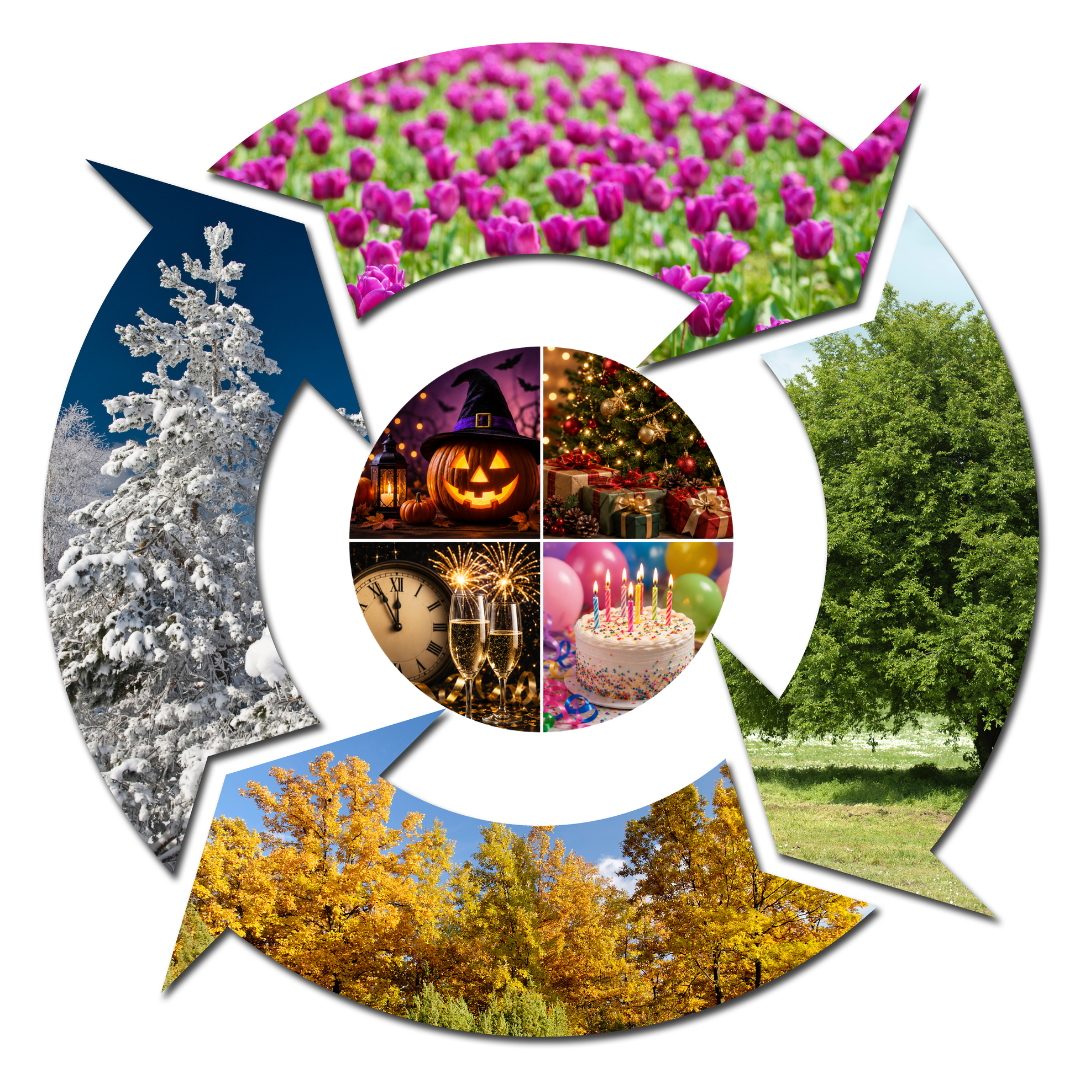 Seasonal & Occasions