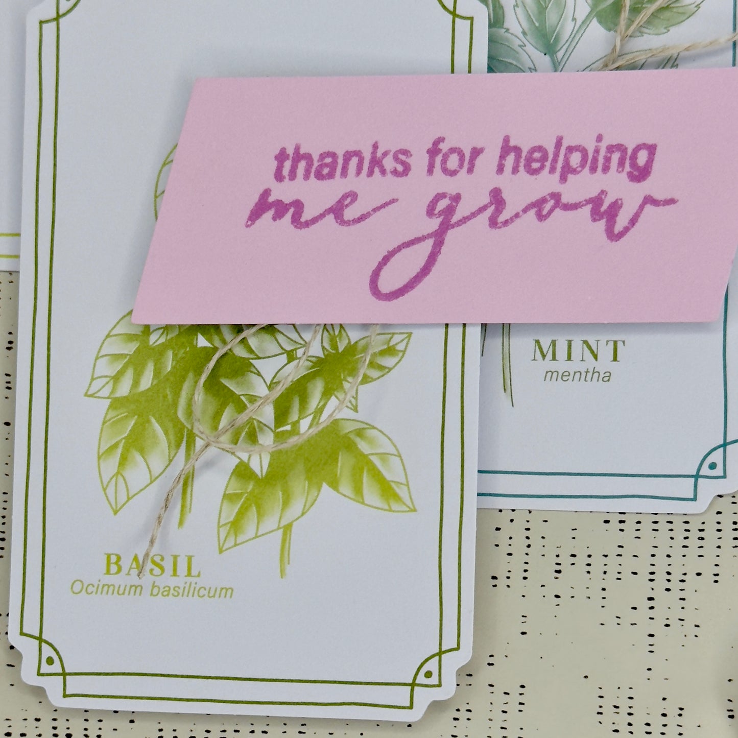Greeting Card: Thanks for Helping Me Grow - herbs