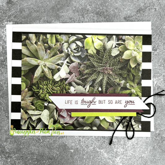 Greeting Card: Life is Tough But So Are You - succulents