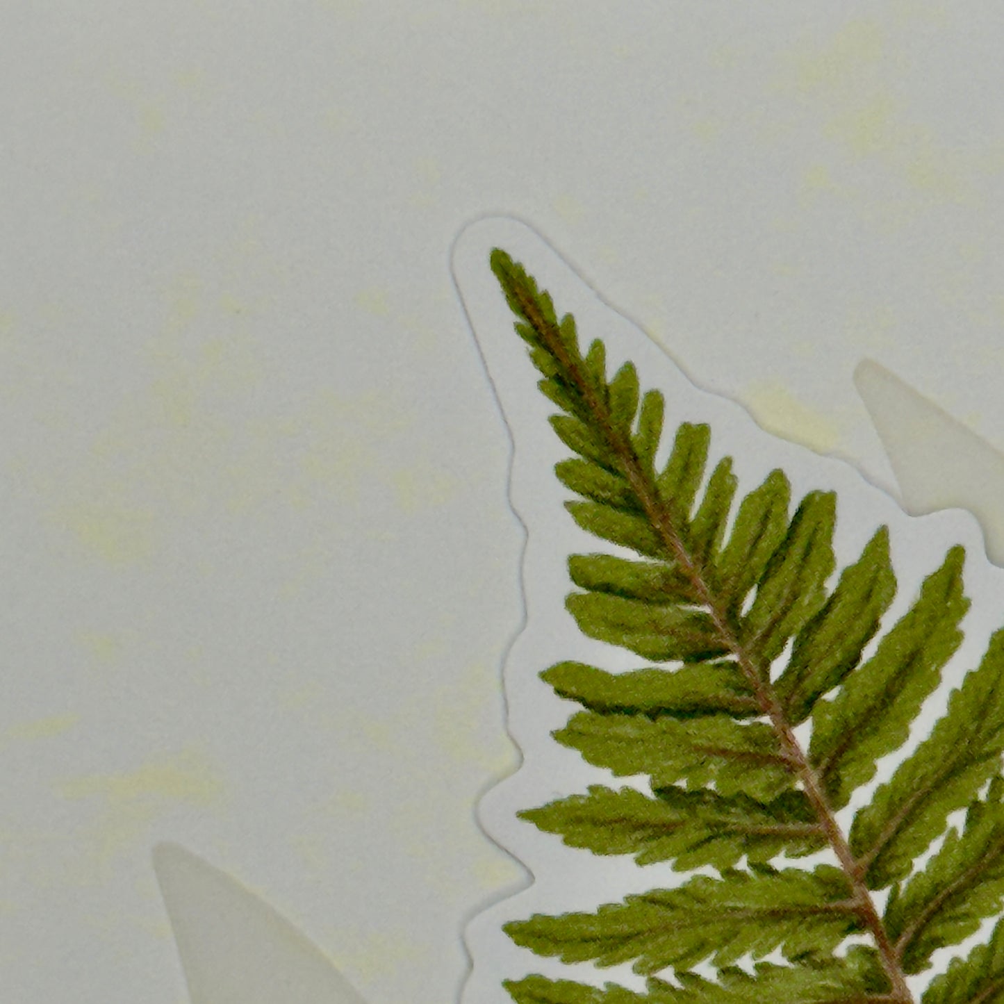 Fern design from Pineapples and Palm Trees greeting card