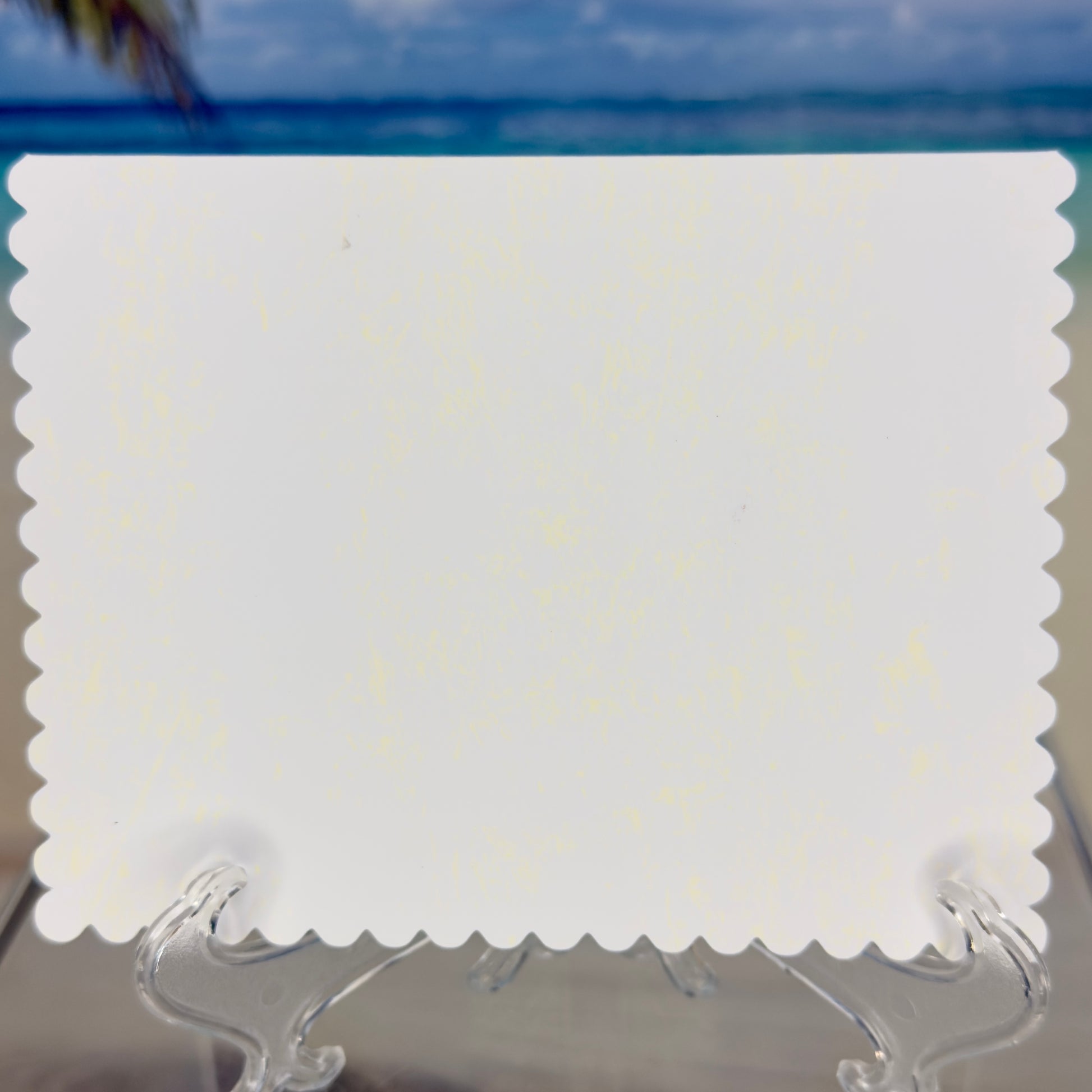 Get Well Soon greeting card with a green fern illustration from Pineapples and Palm Trees