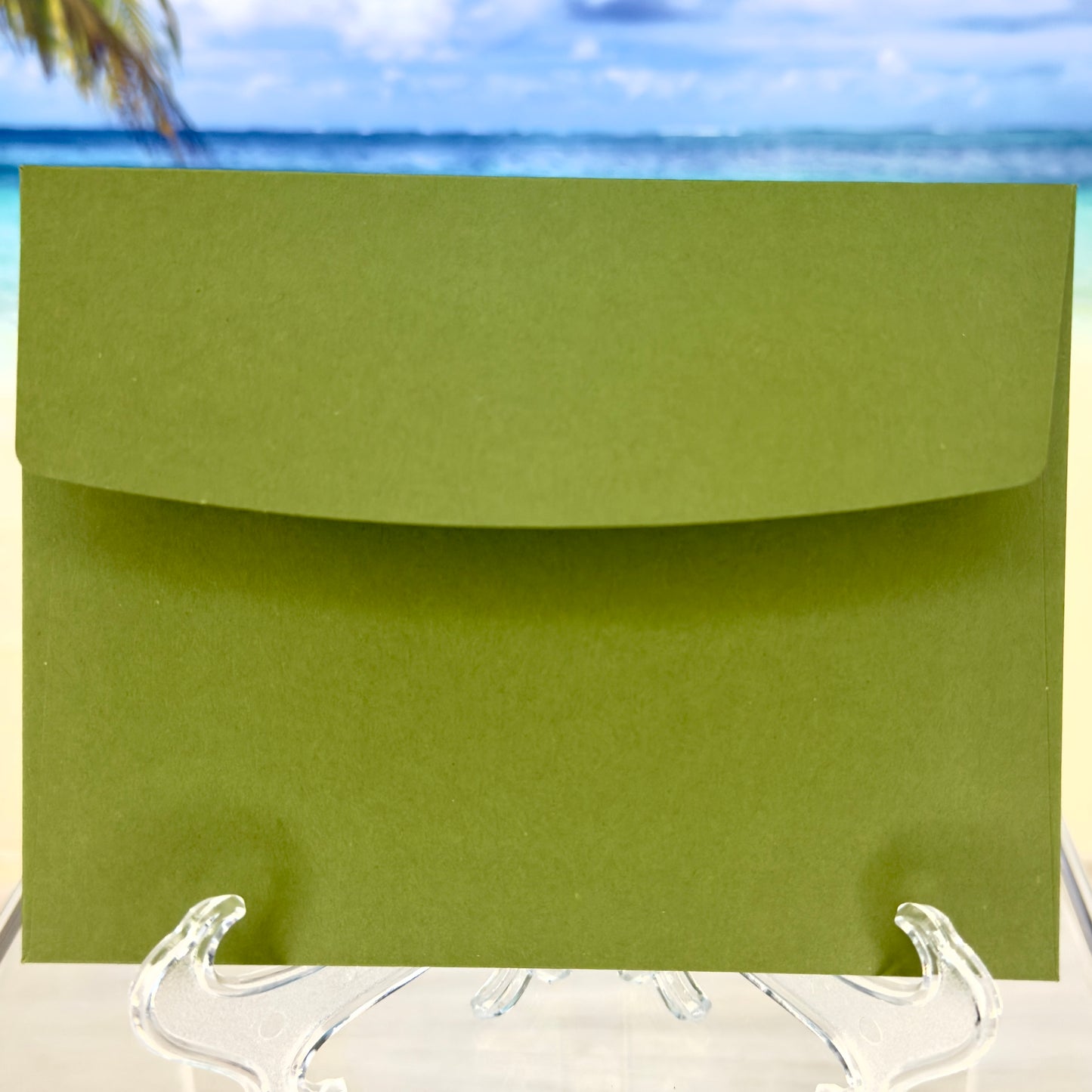Envelope of the Get Well Soon greeting card with a green fern illustration from Pineapples and Palm Trees