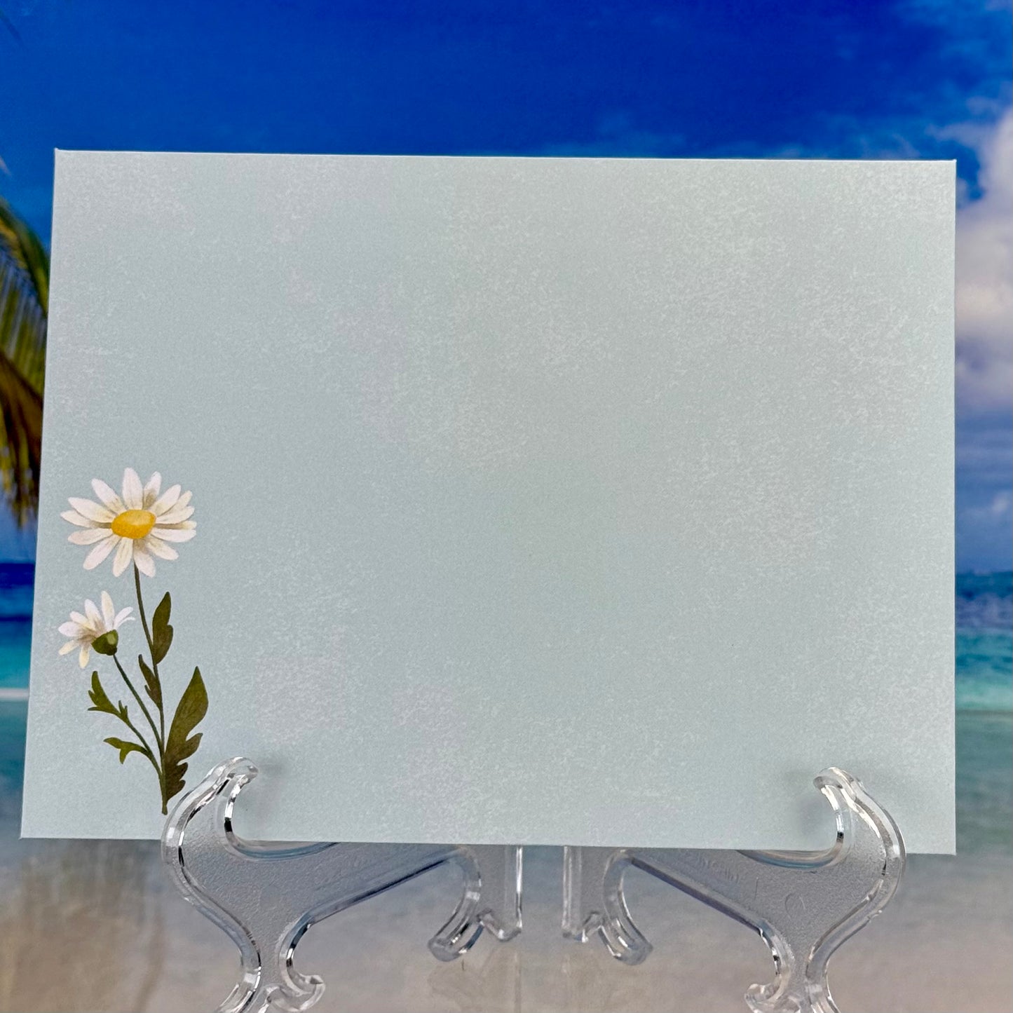 Greeting card with daisies