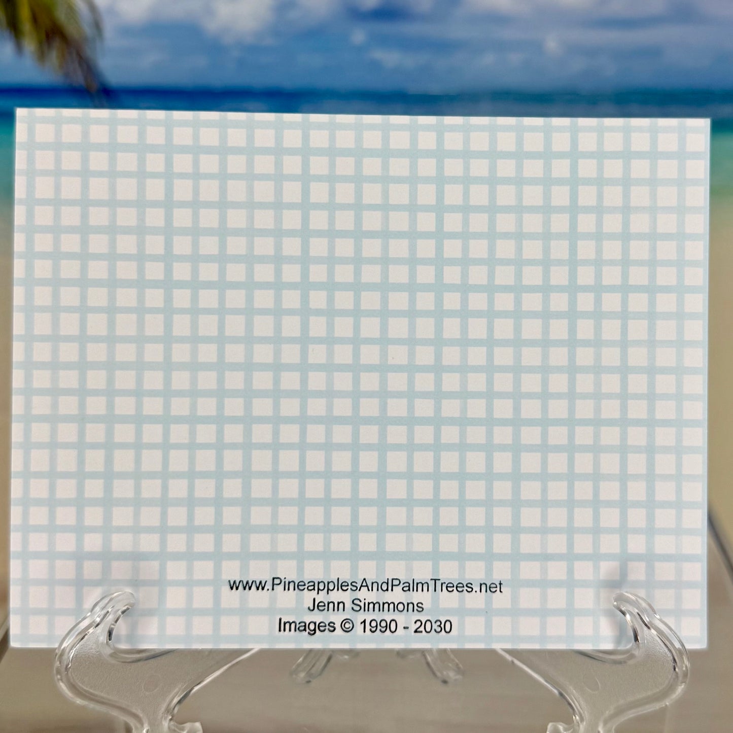 Envelope of a greeting card with turtle and frog illustrations and the message “Friends in any kind of weather” from Pineapples and Palm Tree