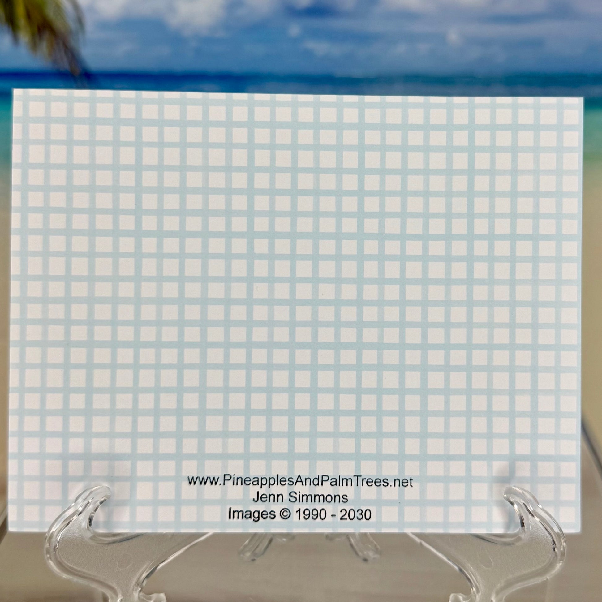 Envelope of a greeting card with turtle and frog illustrations and the message “Friends in any kind of weather” from Pineapples and Palm Tree