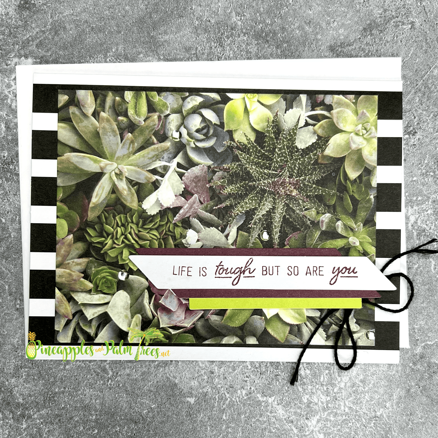 Greeting card with succulent illustrations and the message “Life is tough but so are you” with matching envelope from Pineapples and Palm Trees