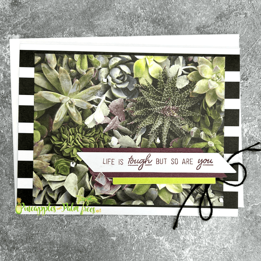 Greeting card with succulent illustrations and the message “Life is tough but so are you” with matching envelope from Pineapples and Palm Trees