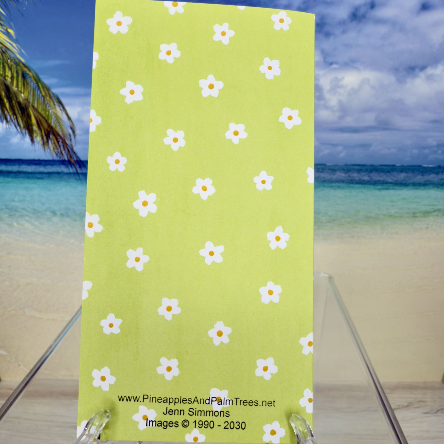 Back of “Springtime Greetings – Baby Chicks” greeting card showing blank cardstock reverse.