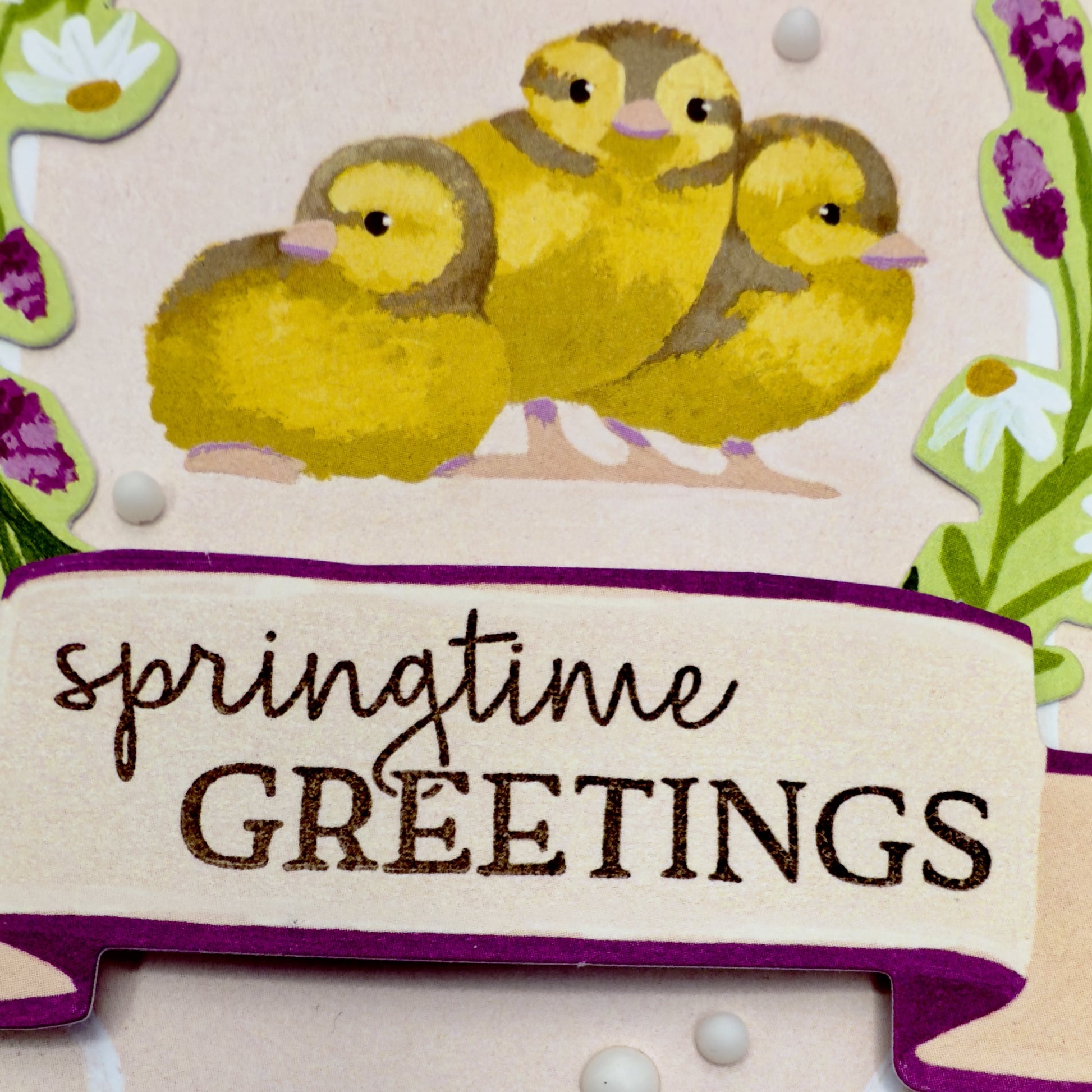 Close-up of baby chick artwork and springtime floral details on the card front.