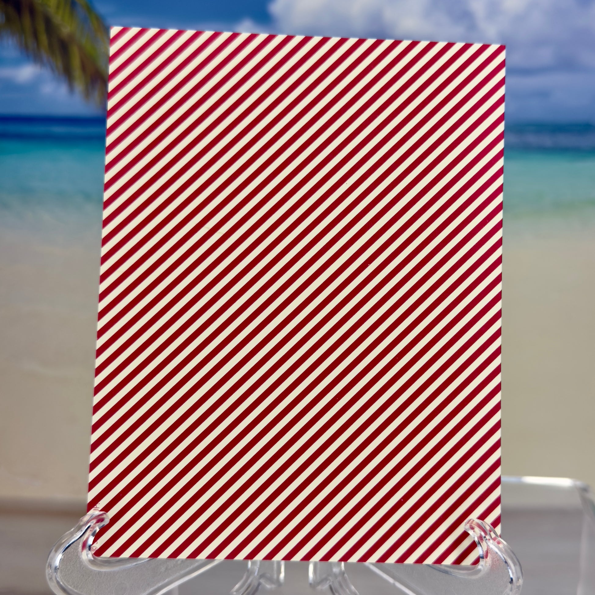 Back side of “Wishing You a Merry Christmas” greeting card