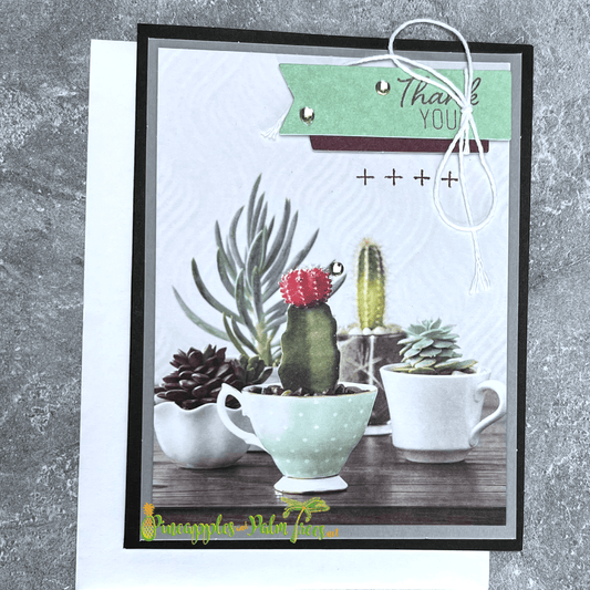 Greeting Card: Thank You - succulents